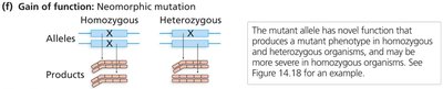 Neomorphic mutation diagram
