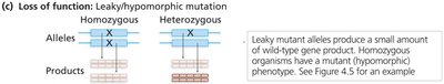Leaky mutation diagram