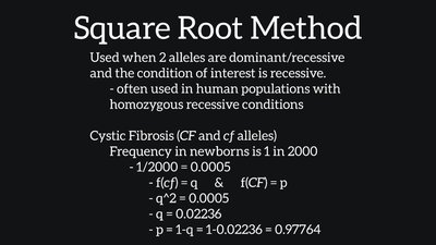 Square root method example