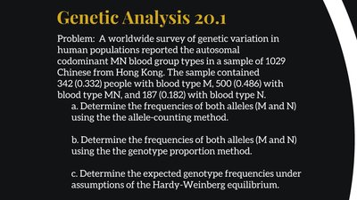 Genetic analysis problem for MN blood group