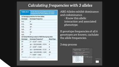 Calculating frequencies with three alleles