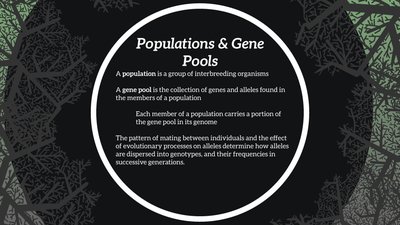 Populations & Gene Pools definition slide