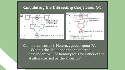 Processes of speciation