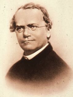 Portrait of Gregor Mendel