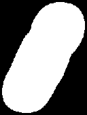 Genotype and phenotype examples