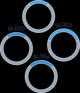 Reference genome composition from multiple individuals