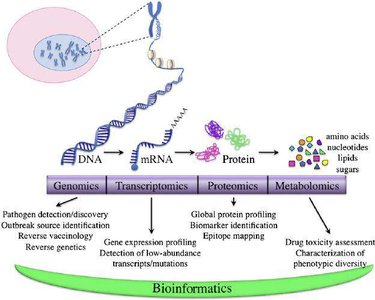 Multi-omics technology overview