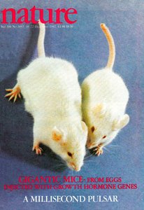 Genetically modified mice