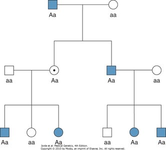 Pedigree showing reduced penetrance in retinoblastoma