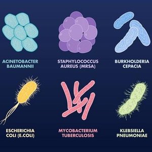 Examples of medically relevant bacteria