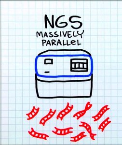 PacBio SMRT sequencing workflow