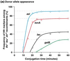 Graph of donor allele appearance over time