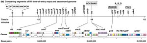 Consolidated Hfr map of E. coli