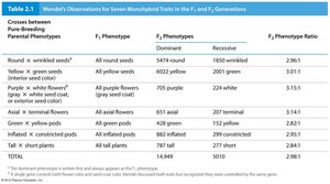 Mendel's 3:1 ratio in F2 generation