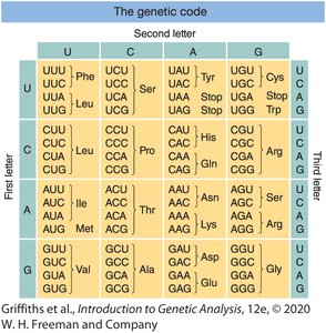 The genetic code table