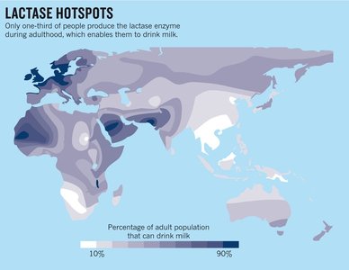 Global map of lactase persistence hotspots