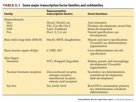 Table of transcription factor families and functions