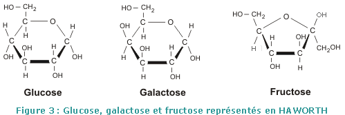 GAL gene cluster and pathway