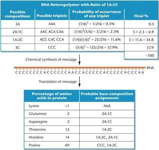 Mixed heteropolymer table