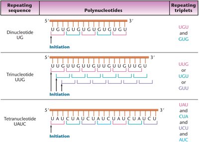 Repeating copolymer diagram