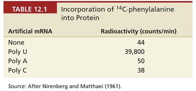 Table of radioactivity incorporation