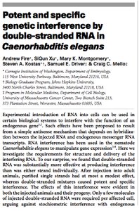 Double-stranded RNA and gene silencing in plants