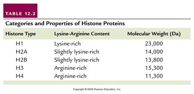 Table of histone types and properties