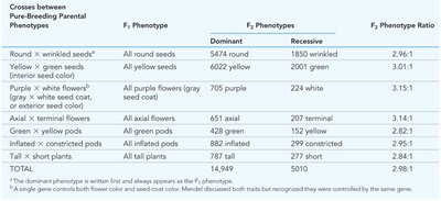 Mendel’s observations for seven monohybrid traits in the F1 and F2 generations