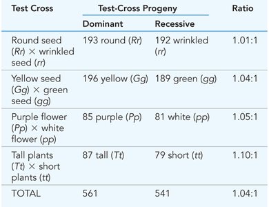 Test-cross results from Mendel’s experiments