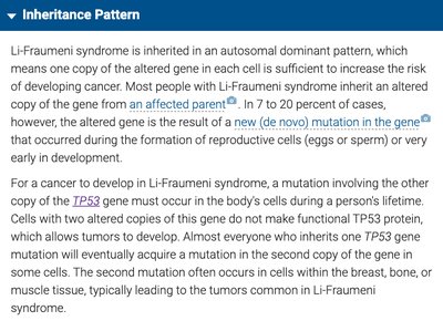 p53 pathway and cell cycle regulation