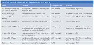 Table of transmembrane pumps