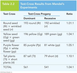 Table of test-cross results