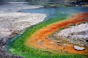 Hot spring in Yellowstone National Park