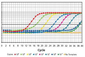 qPCR amplification plot showing fluorescence vs. cycle number