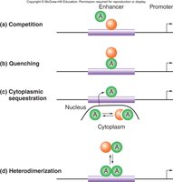 Indirect repression mechanisms