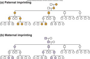 Pedigrees of imprinted diseases