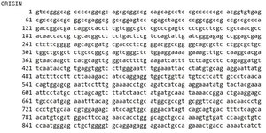Raw DNA sequence in GenBank ORIGIN format