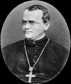 Darwin's Origin of Species illustration