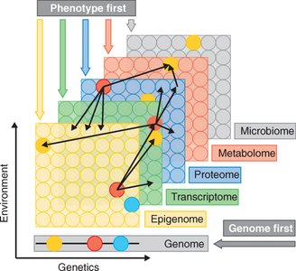 Diagram of omics layers: genome, epigenome, transcriptome, proteome, metabolome, microbiome