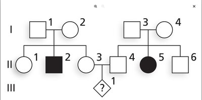 Pedigree showing autosomal recessive inheritance