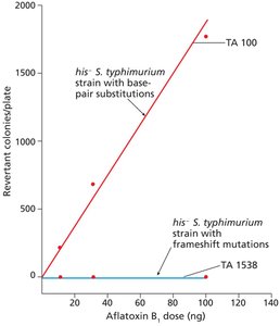 Ames test results: aflatoxin B1 mutagenicity