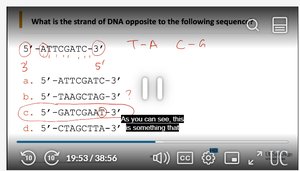 Telomerase action at chromosome ends