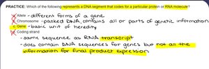DNA polymerase proofreading and error correction