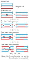 Types of crossing over and their recombination frequencies