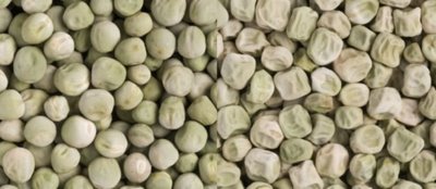 Round and wrinkled peas