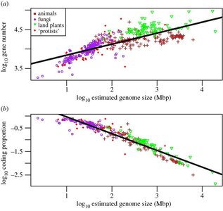 Genome size versus gene number