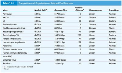 Table of selected viral genomes