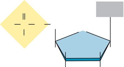 Repeating unit of DNA and RNA