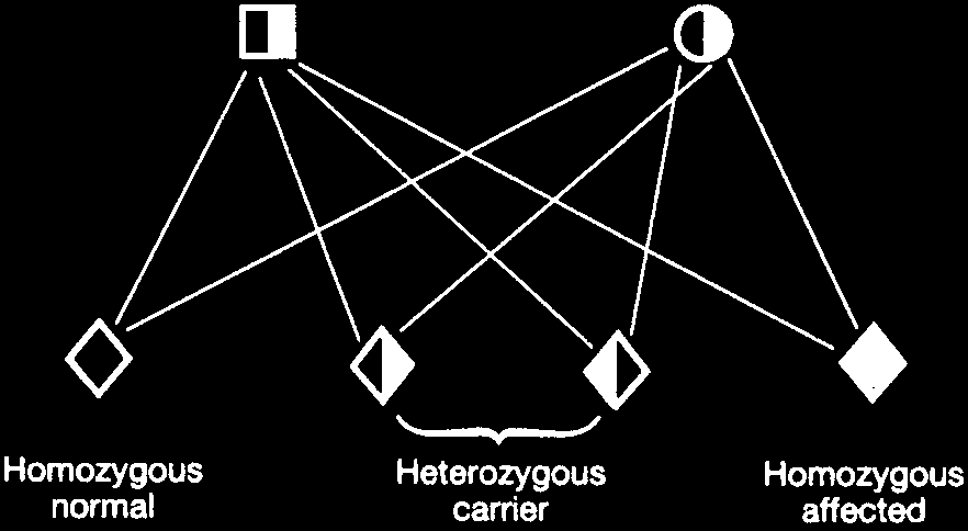 Pedigree for autosomal recessive inheritance