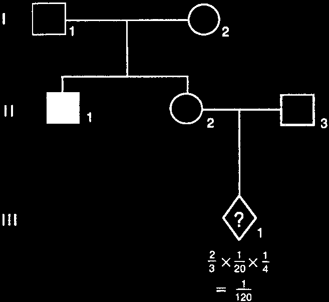 Pedigree for risk to healthy sibling's child